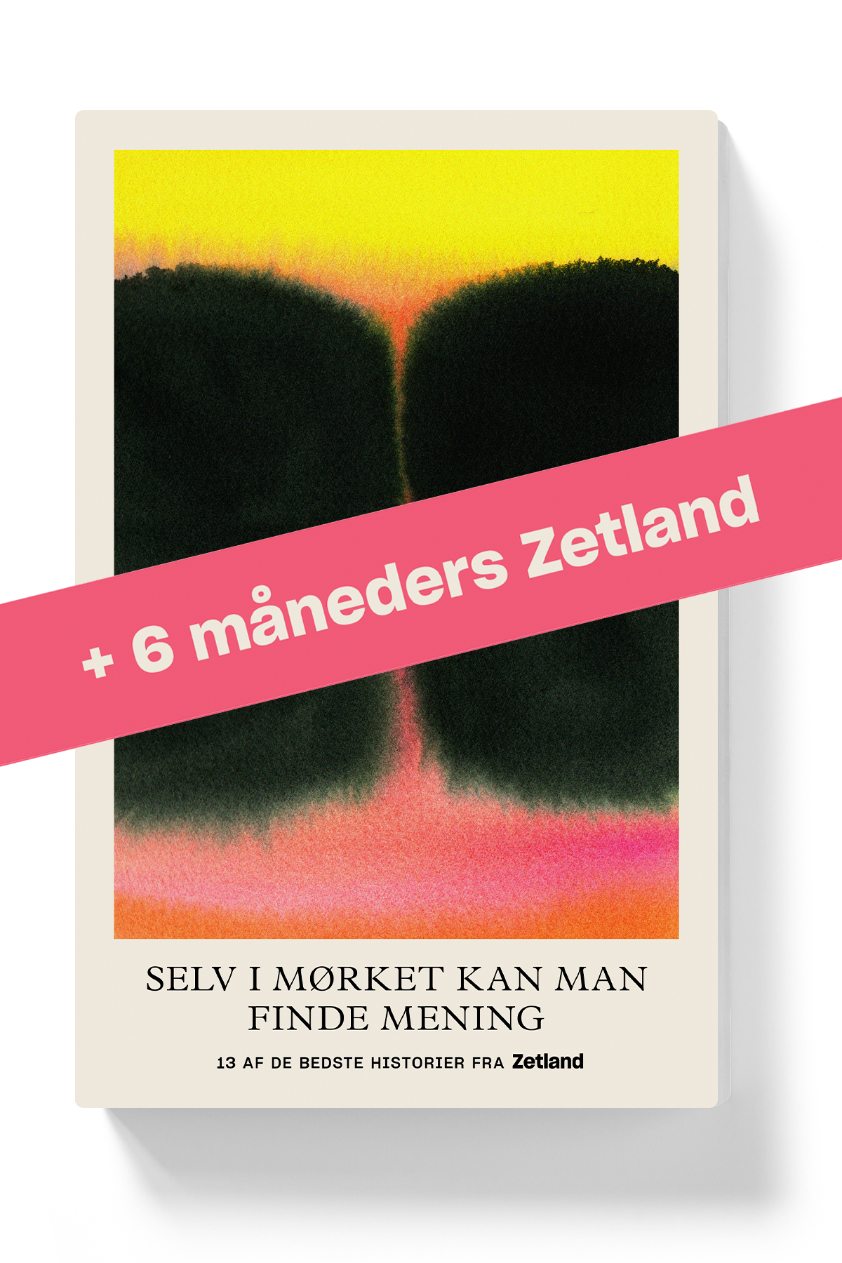 Gavepakke: 6 måneders Zetland + Selv i mørket kan man finde mening