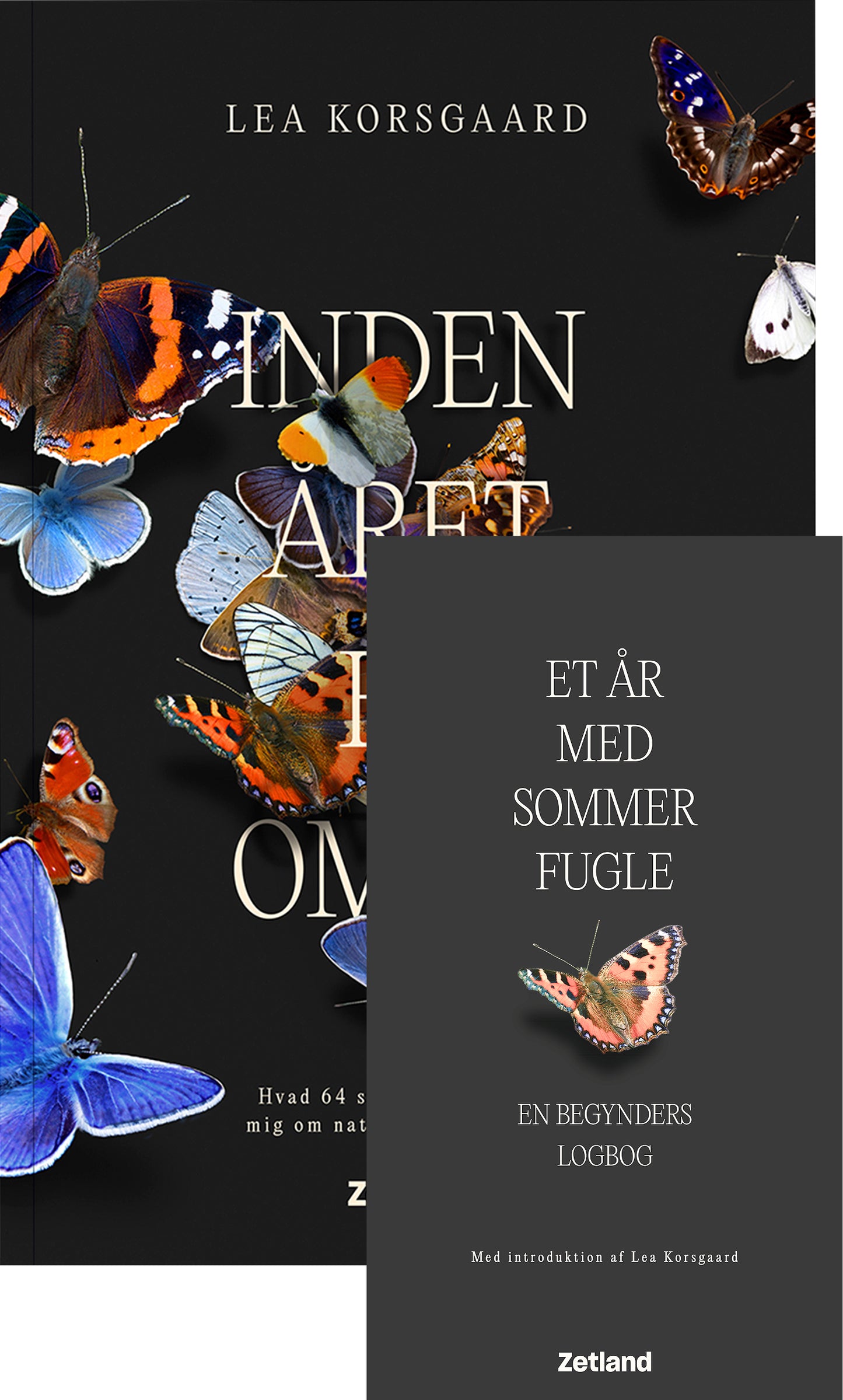 Sommerfuglepakken: Inden året er omme + Et år med sommerfugle