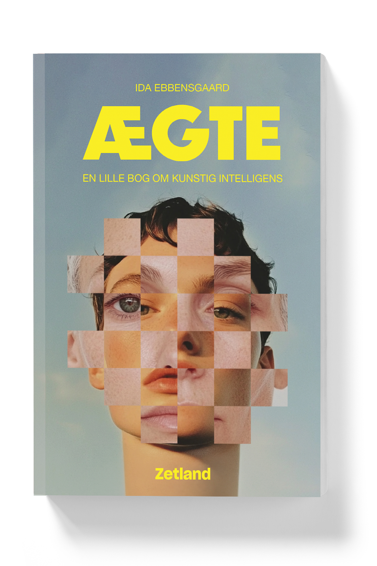 Ægte. En lille bog om kunstig intelligens – Zetland