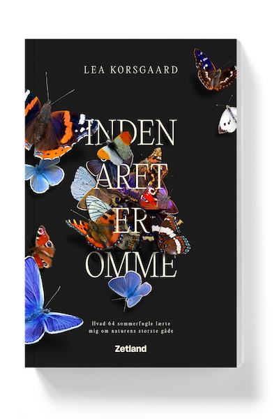 Inden året er omme – Zetland